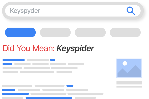 Spell Check / Did You Mean